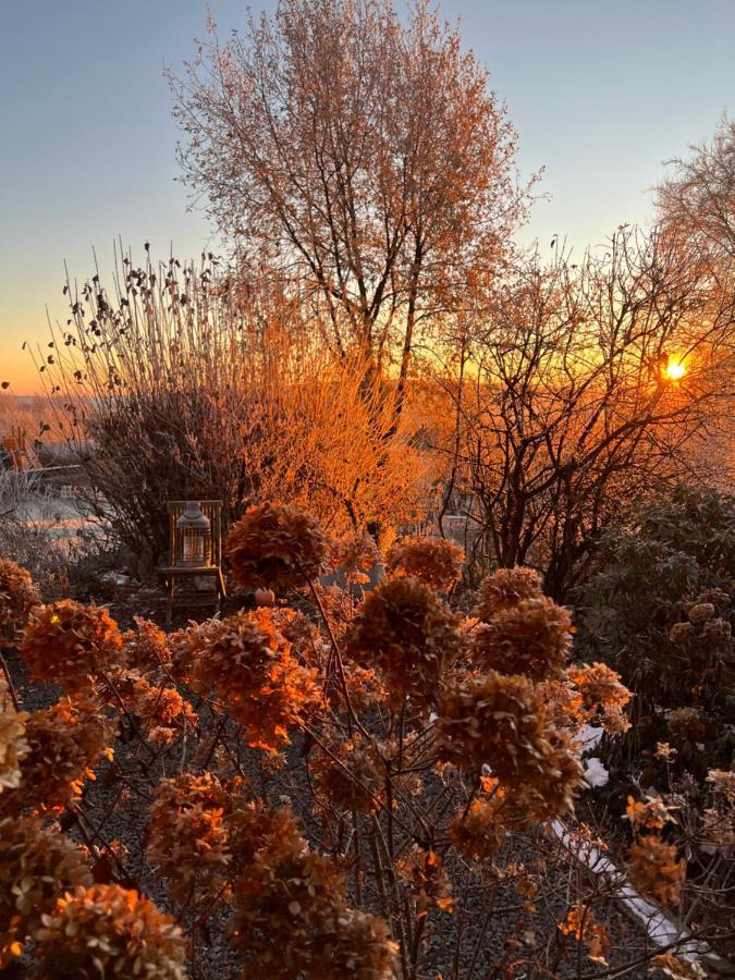 Garden & Hill Ferienwohnung Limburg Simmerath Exteriör bild